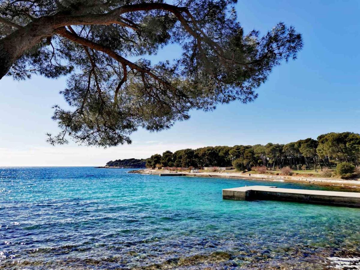 Apartment Andreas - Amphitheater - Πούλα Εξωτερικό φωτογραφία